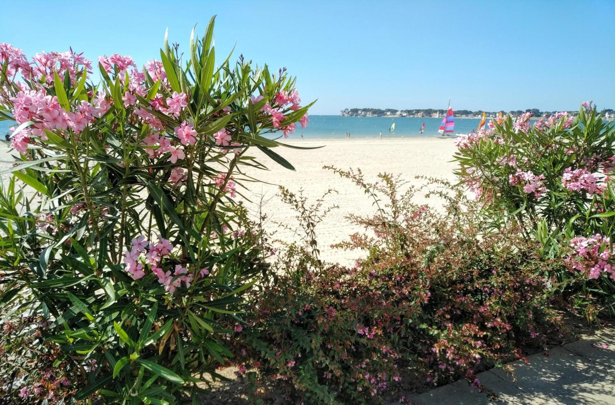 La Baule Le Capitole - Studio Plage Benoit Dans Residence Face Mer מראה חיצוני תמונה